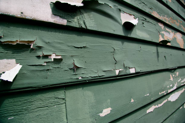 Best Furniture Removal  in Bremen, IN